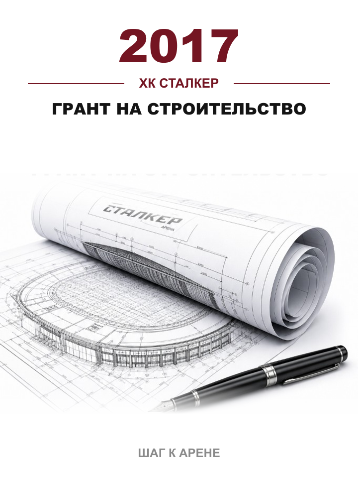 2017 — Грант на строительство ледовой арены